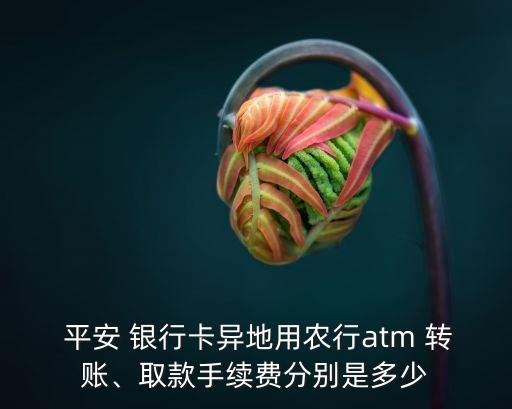  平安 銀行卡異地用農(nóng)行atm 轉(zhuǎn)賬、取款手續(xù)費分別是多少