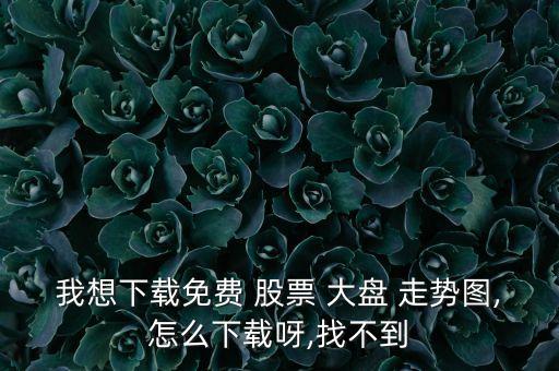 我想下載免費(fèi) 股票 大盤 走勢圖,怎么下載呀,找不到