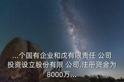 ...個(gè)國有企業(yè)和戊有限責(zé)任 公司投資設(shè)立股份有限 公司,注冊資金為8000萬...