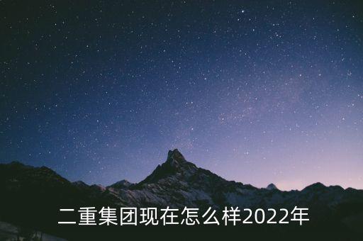  二重集團(tuán)現(xiàn)在怎么樣2022年