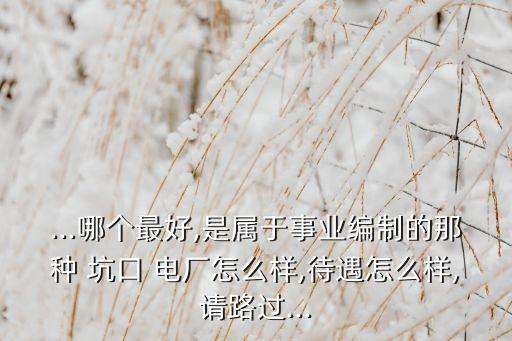 ...哪個(gè)最好,是屬于事業(yè)編制的那種 坑口 電廠怎么樣,待遇怎么樣,請(qǐng)路過...