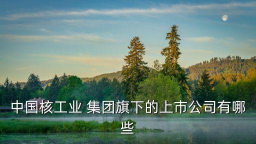 中國(guó)核工業(yè) 集團(tuán)旗下的上市公司有哪些