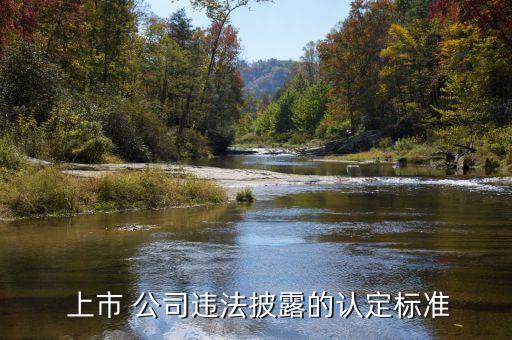  上市 公司違法披露的認(rèn)定標(biāo)準(zhǔn)