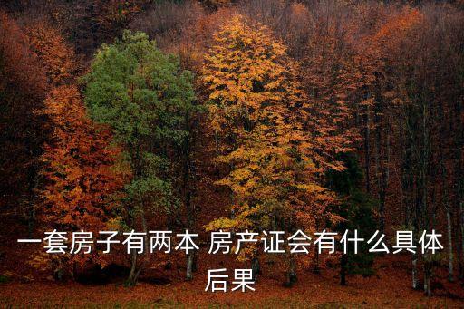 一套房子有兩本 房產(chǎn)證會(huì)有什么具體后果