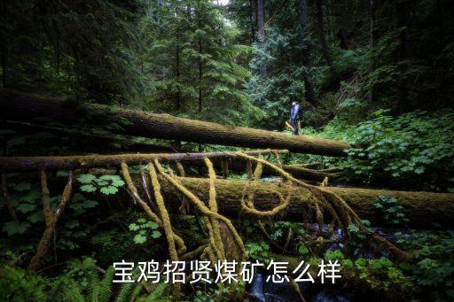 皖北煤電集團吳玉華