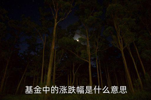基金日漲幅怎么算,基金漲幅怎么算出來(lái)的