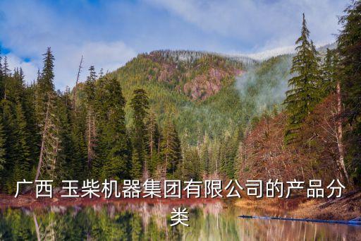 玉柴集團(tuán)高管人員分管事務(wù)