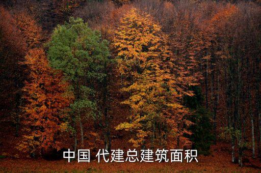 中國 代建總建筑面積