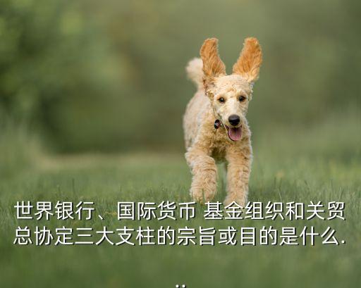 世界銀行、國際貨幣 基金組織和關(guān)貿(mào)總協(xié)定三大支柱的宗旨或目的是什么...