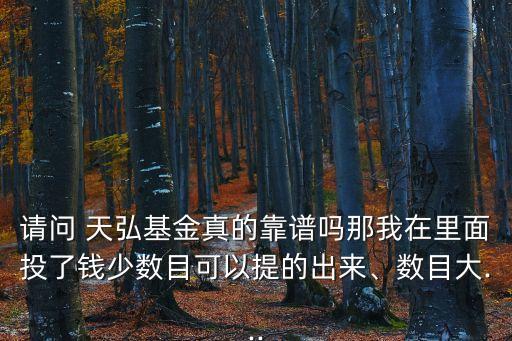 請(qǐng)問(wèn) 天弘基金真的靠譜嗎那我在里面投了錢少數(shù)目可以提的出來(lái)、數(shù)目大...