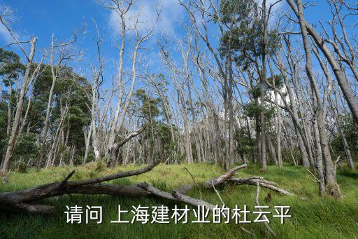 請(qǐng)問 上海建材業(yè)的杜云平
