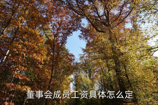  董事會成員工資具體怎么定