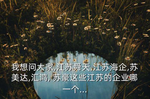 我想問(wèn)大家,江蘇舜天,江蘇海企,蘇美達(dá),匯鴻, 蘇豪這些江蘇的企業(yè)哪一個(gè)...