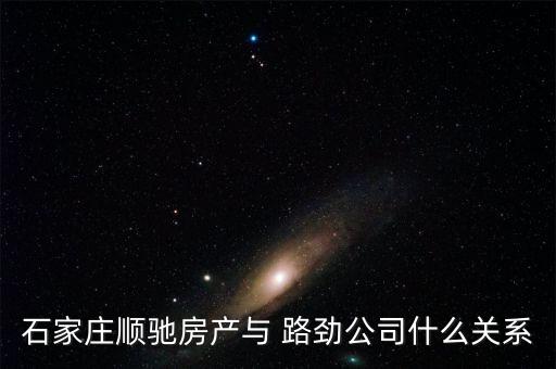 路勁基建集團,路勁集團