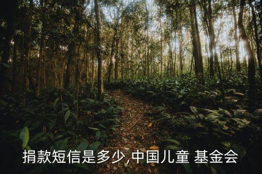 捐款短信是多少,中國兒童 基金會(huì)