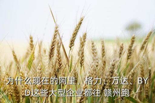 為什么現(xiàn)在的阿里、格力、萬達、BYD這些大型企業(yè)都往 贛州跑