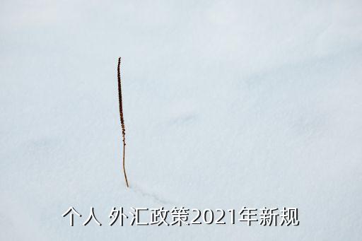 個(gè)人 外匯政策2021年新規(guī)