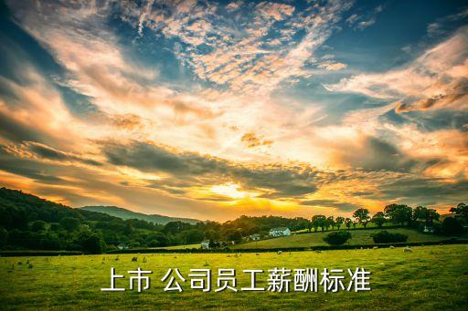  上市 公司員工薪酬標準