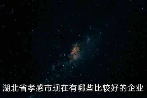 國(guó)電漢川發(fā)電有限公司