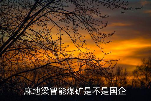 麻地梁智能煤礦是不是國(guó)企