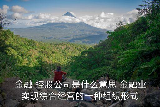  金融 控股公司是什么意思 金融業(yè)實(shí)現(xiàn)綜合經(jīng)營(yíng)的一種組織形式