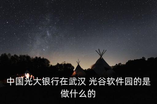 中國(guó)光大銀行在武漢 光谷軟件園的是做什么的
