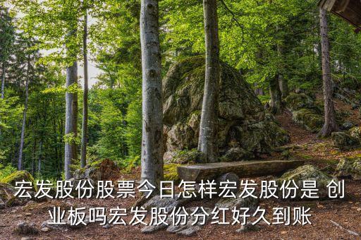 主營行業(yè)壟斷的創(chuàng)業(yè)板公司