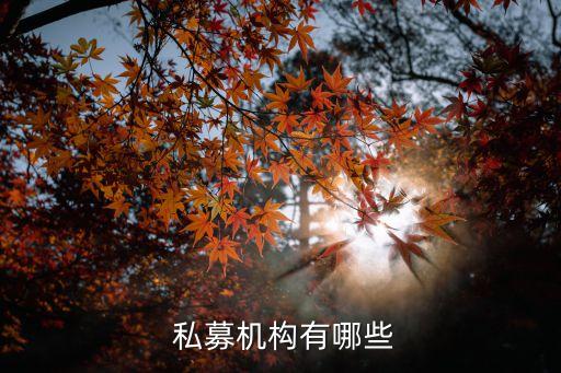  私募機(jī)構(gòu)有哪些