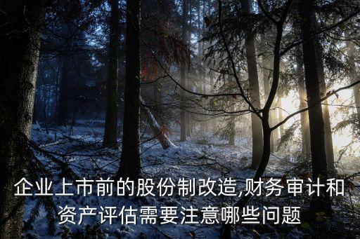 企業(yè)上市前的股份制改造,財務審計和資產評估需要注意哪些問題