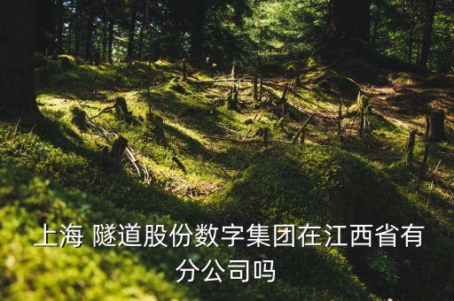  上海 隧道股份數字集團在江西省有分公司嗎