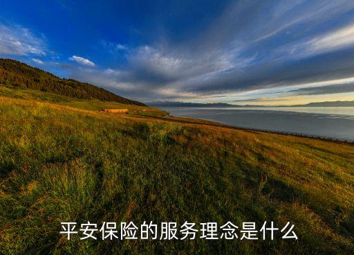  平安保險的服務理念是什么