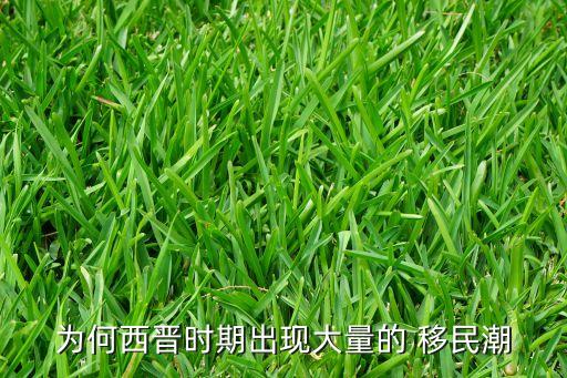 為何西晉時期出現(xiàn)大量的 移民潮