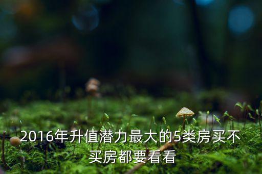 2016年升值潛力最大的5類(lèi)房買(mǎi)不 買(mǎi)房都要看看