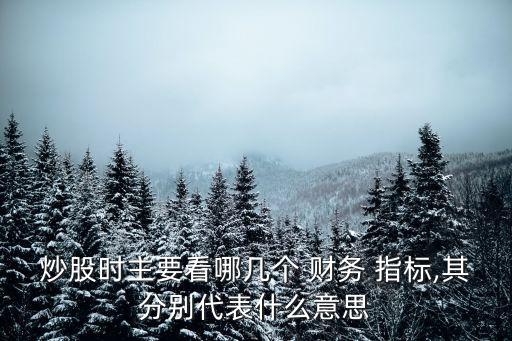 炒股時主要看哪幾個 財務 指標,其分別代表什么意思