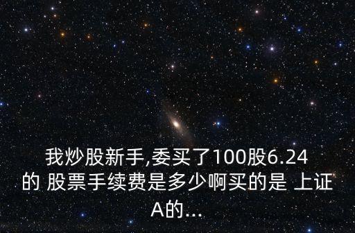 我炒股新手,委買(mǎi)了100股6.24的 股票手續(xù)費(fèi)是多少啊買(mǎi)的是 上證A的...