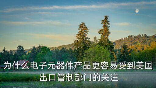 為什么電子元器件產(chǎn)品更容易受到美國(guó) 出口管制部門(mén)的關(guān)注