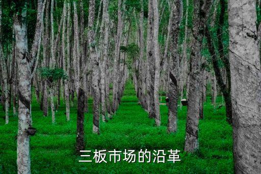 三板市場(chǎng)的沿革