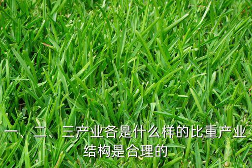 一、二、三產(chǎn)業(yè)各是什么樣的比重產(chǎn)業(yè)結(jié)構(gòu)是合理的