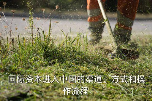  國(guó)際資本進(jìn)入中國(guó)的渠道、方式和操作流程