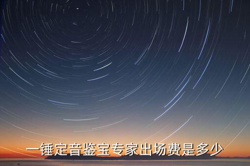 一錘定音鑒寶專家出場費是多少