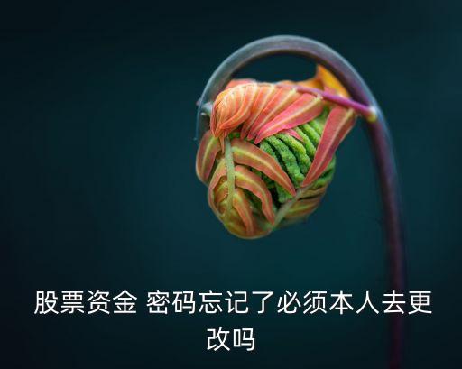  股票資金 密碼忘記了必須本人去更改嗎