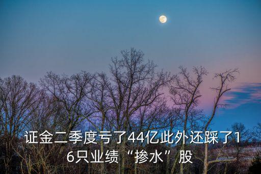  證金二季度虧了44億此外還踩了16只業(yè)績“摻水”股