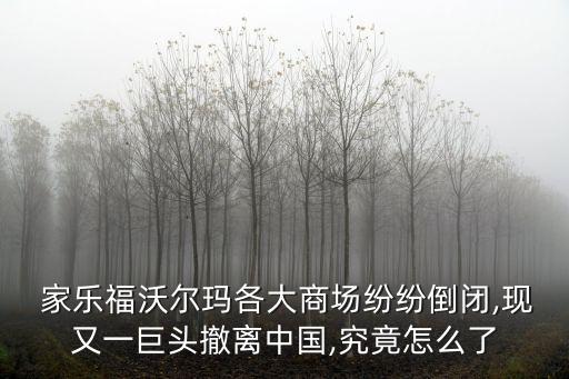 家樂福中國(guó)銷售額,無錫家樂福銷售額?