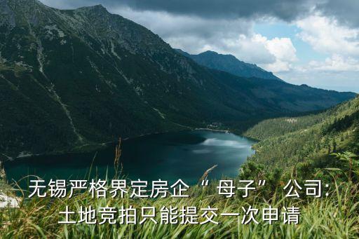 無錫嚴(yán)格界定房企“ 母子” 公司:土地競(jìng)拍只能提交一次申請(qǐng)