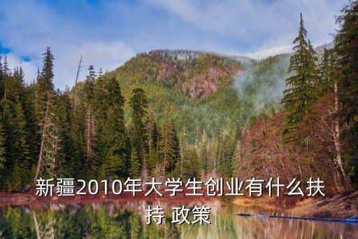 新疆2010年大學(xué)生創(chuàng)業(yè)有什么扶持 政策