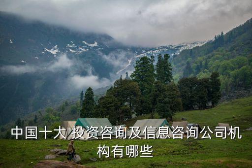 中國十大 投資咨詢及信息咨詢公司機構(gòu)有哪些