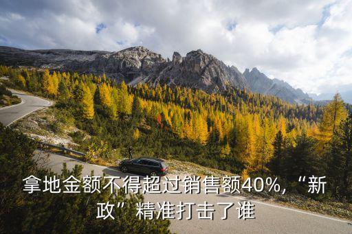 拿地金額不得超過(guò)銷(xiāo)售額40%,“新政”精準(zhǔn)打擊了誰(shuí)