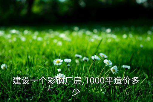投資開鋼鐵廠費用,100萬噸鋼鐵廠投資