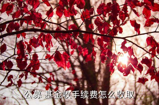 公募 基金收手續(xù)費怎么收取