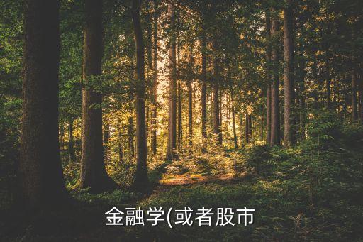 金融學(xué)(或者股市